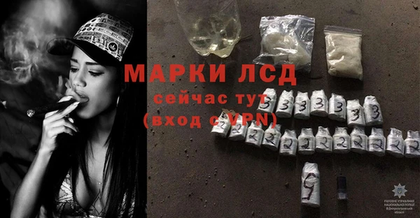 СК Арсеньев