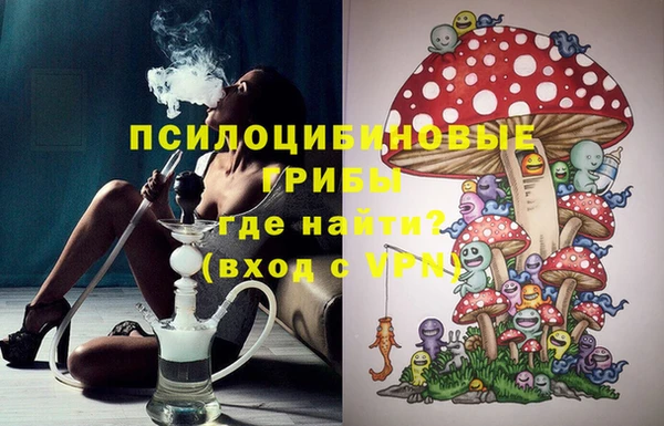 тгк Аркадак