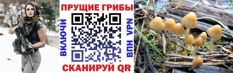 ссылка на мегу зеркало Октябрьск Псилоцибиновые грибы Magic Shrooms